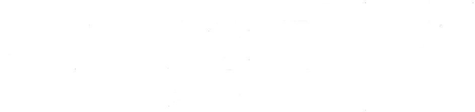 Critical Software logo