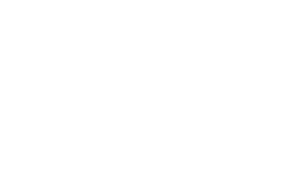 N7 Holding logó